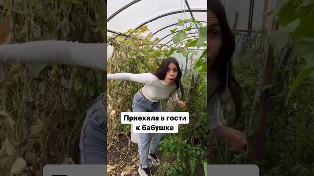 Как выбесить бабушку за 3 секунды😂  #приколы #семья #смешно #деревня #юмор #бабушка  #лето #муж