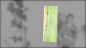 "Мама и Дочки- Они так похожи.."