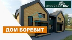 Два дома в ОДНОМ - Проект Боревит _ Дом из газобетона