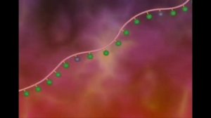 Структура и денатурация белков анимация