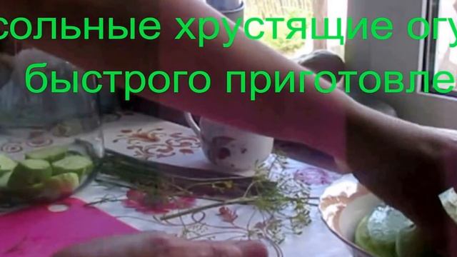Огурцы хрустящие малосольные быстрого приготовления. 3 способа засолки огурцов. Огурцы в пакете
