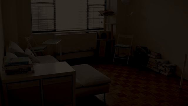 뉴욕 일상 브이로그 / 뉴욕 아파트 방꾸미기, 룸투어, 프리랜서의 하루, 고양이 임보, 르뱅 쿠키, 미국 직장인
