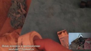 ставим уши  овчарке. 2 способа