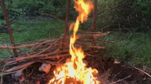 Звук костра в лесу пение птиц треск костра