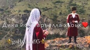 Чеченская песня | Иллешкахь йийцина, дика йо1 таръелла хьоьхь😻🔥