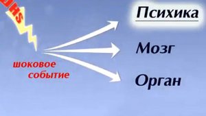 Рак излечим! Причина рака - конфликт!!! Интервью доктора Хамера 1998 г #гнм #докторхамер #рак