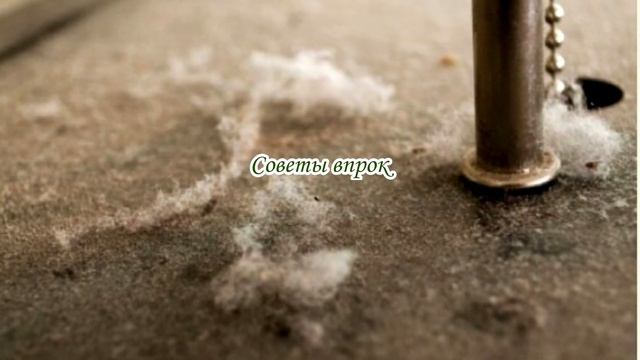 ЗдоровьеКакие опасности таятся в квартирахЭто полезно знать