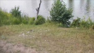 ТАМТАК: Обзор озера Букал рядом с Новокангышево. Дюртюлинский район.