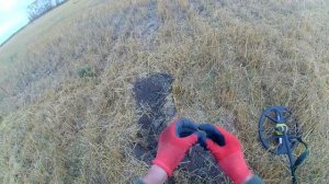 КОП В ДЕРЕВНЕ ПОТАНИНО НА МОСКОВСКО-СИБИРСКОМ ТРАКТЕ. нашел много Царских монет и монет СССР, 2022