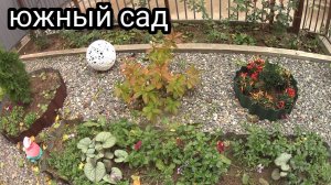 Прогулка по саду в ноябре//Фисташка,Миндаль//Новые посадки