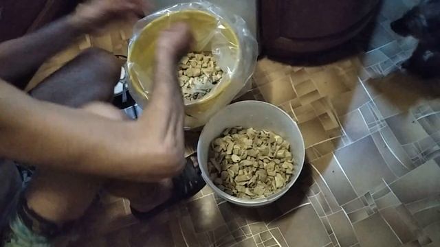 Солим горячим способом белый подгруздок. смотреть онлайн