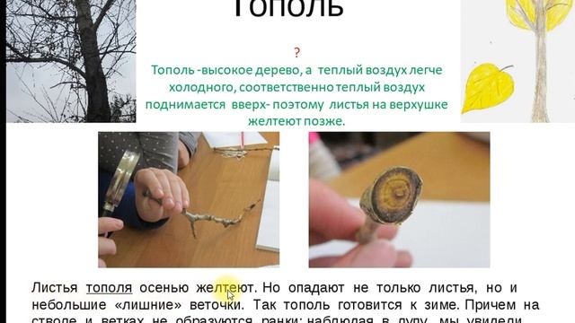 Осенние изменения в неживой природе 2 класс