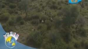 Ози Бу! Защити планету - Животные и как нам их защитить - Заповедник