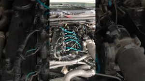 Ford Ranger 3.2 problemas de regulacion