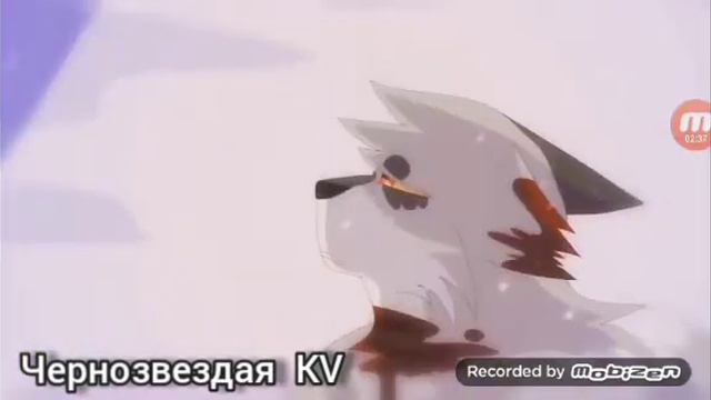 Коты воители. Клип. Извени что сердце колит болит. смотреть онлайн