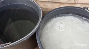 Лазурит. Мой опыт борьбы с травой.