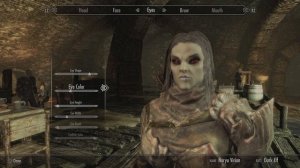 Skyrim: How to create Naryu Virian No mods