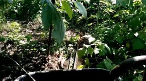 Водяная колонка в работе
