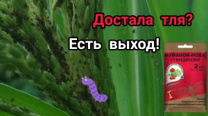 Инсектицид фуфанон☠️Быстрое решение в борьбе против тли!