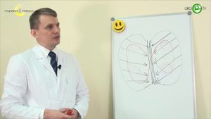 Практические аспекты выполнения массажа предстательной железы