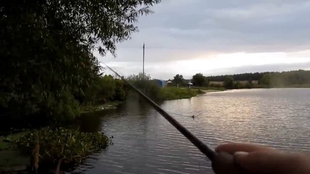 Рыбалка рядом с домом (Видео-отчёт) смотреть онлайн