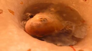 Рыбалка на озере Шершни в Челябинске.