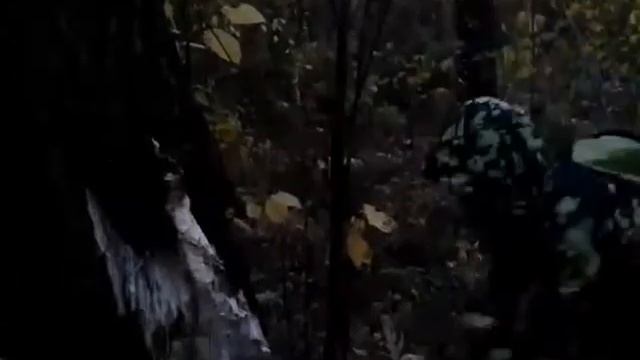 ПЫТАЕМСЯ СЛОМАТЬ ГНИЛОЕ ДЕРЕВО ТУПЫМ ТОПОРОМ!!! часть 1