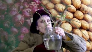 Япона-мать!