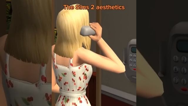 The Sims 2 aesthetics