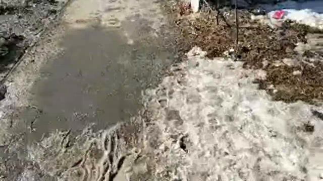 Весна В Екатеринбурге смотреть онлайн