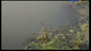 Фёдор Тютчев, Элеонора Тютчева и Елена Денисьева