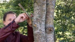 КАК СДЕЛАТЬ ВЕРЁВКУ ИЛИ КАНАТ ИЗ КАТУШКИ НИТОК