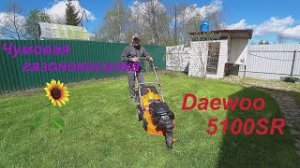 Газонокосилка Daewoo 5100SR (обзор).