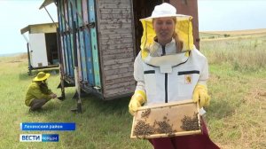 Как развивается пчеловодство в Крыму