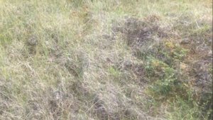 ЗАБРОСКА. РЫБАЛКА на реке ТЕРИБЕРКА. Переломный день / FISHING on the Kola Peninsula (part 1)