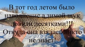 За 7 минут поймал 7 щук! Это как!!!.mp4