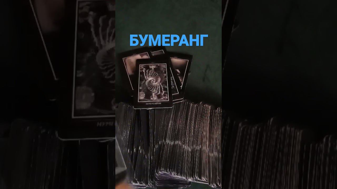 #бумеранг #бумерангврагу #бумерангврагутаро #бумерангсопернице #бумерангтаро #shots #shortsvideo