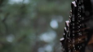 Расслабляющее видео дождя