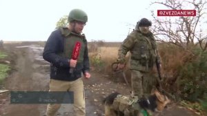 Пес морских пехотинцев с позывным «Бандит» несет службу вместе со своим человеком
