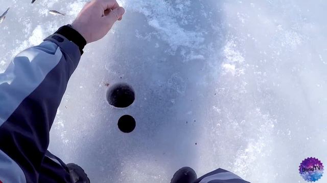 Чудское озеро. закрытие зимнего сезона 2021. Рыбалка на плотву.
