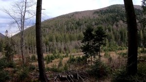 Уж очень хотелось в эти места! Грибники проведали дикий лес в непроходимых горах!