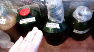 СКОЛЬКО САХАРА я добавляю когда БРОДИТ СУСЛО