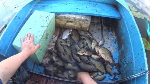 Ловля линей мережами. Часть 2