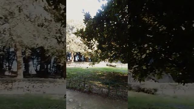 Алупка Воронцовский парк 3 апреля 2021 г. смотреть онлайн