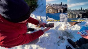 Выходные на даче: коптим рыбу и пробуем камеры IPhone 12 mini и Samsung S21 fe