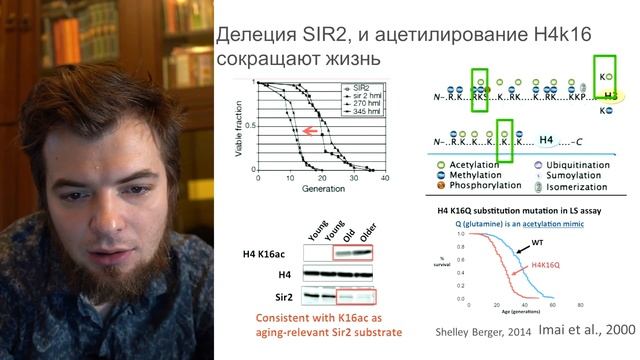 Эпигенетика старения и эпиоткат смотреть онлайн