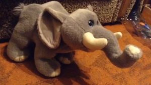 Удивительный мир: африканский слон