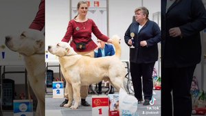 Батырхан для Созвездия Югры