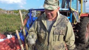 Копаем картофель лопатами