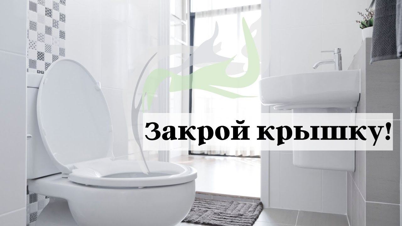 Почему смывать воду в унитазе с открытой крышкой плохая идея